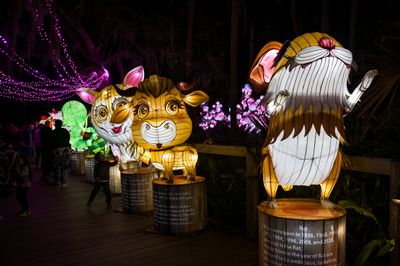 Lantern Festival 0018.jpg
