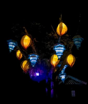 Lantern Festival 0059.jpg