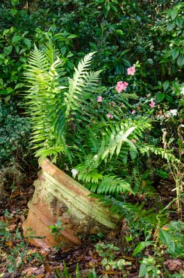 Bok Tower Gardens_02.jpg
