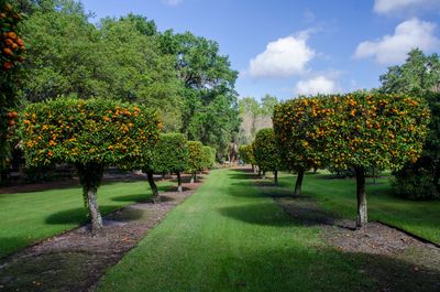 Bok Tower Gardens_04.jpg