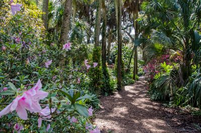 Bok Tower Gardens_14.jpg