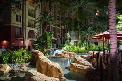Bonnet Creek FL 2023_08.jpg