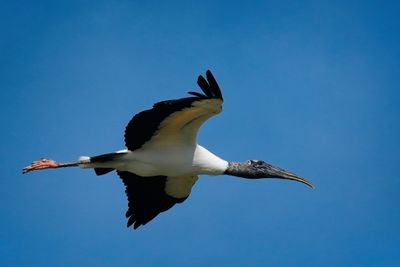 Wetlands 4-2024_14.jpg