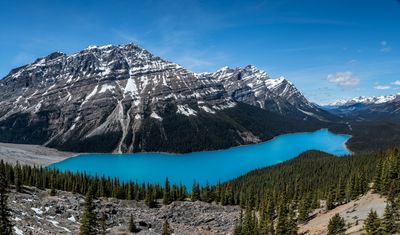 Peyto Lake Banff NP Canada.jpg