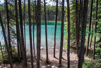 Banff NP-10.jpg