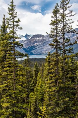 Banff NP-12.jpg