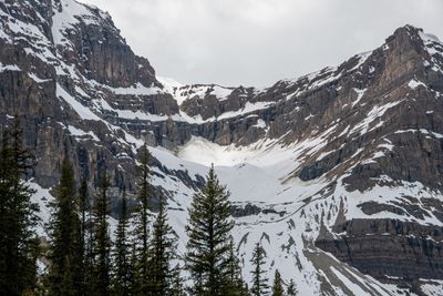 Banff NP-13.jpg