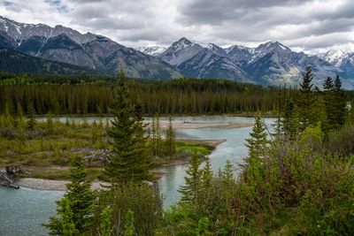 Banff NP-5.jpg