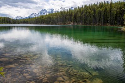 Banff NP-9.jpg