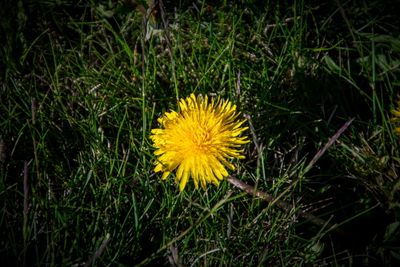 Canmore_04.jpg