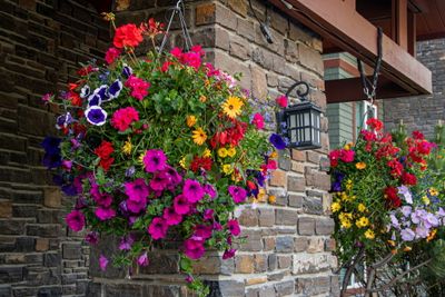 Canmore_06.jpg