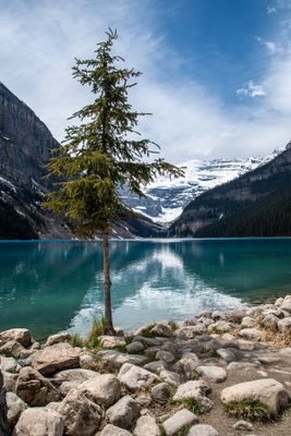 Lake Louise-19.jpg