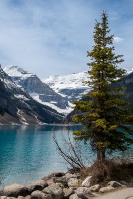 Lake Louise-21.jpg