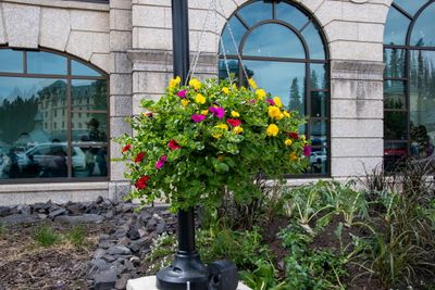 Lake Louise-37.jpg