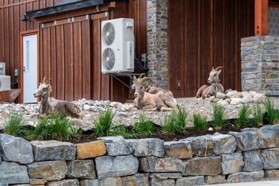 Banff NP Wildlife-24.jpg