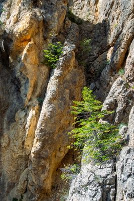 Radiun Hot Springs-11.jpg