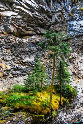 Johnson Canyon_11.jpg