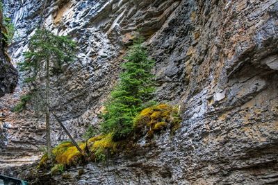 Johnson Canyon_12.jpg