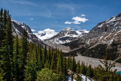Peyto Lake_01.jpg