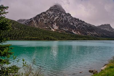 Icefield PKWY_01_2.jpg