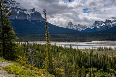 Icefield PKWY_04_2.jpg