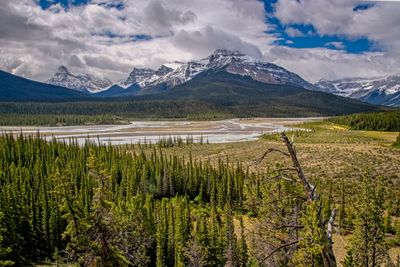 Icefield PKWY_05_2.jpg