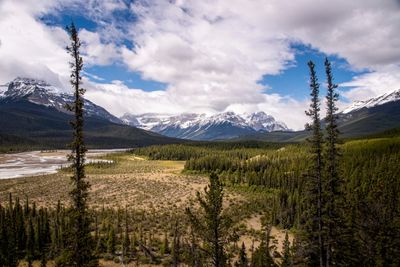 Icefield PKWY_06_2.jpg
