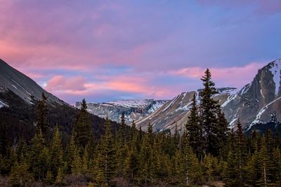 Icefield PKWY_7_2.jpg