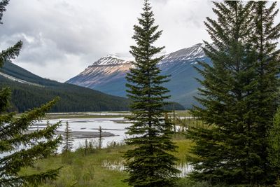 Icefield PKWY_09.jpg