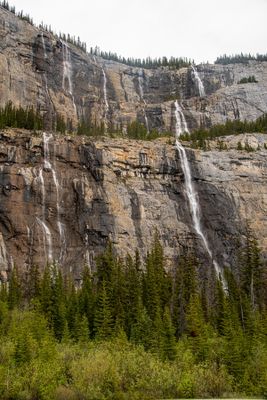 Icefield PKWY_10.jpg
