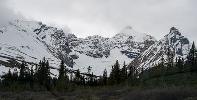 Icefield PKWY_15.jpg