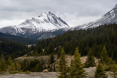 Icefield PKWY_17.jpg