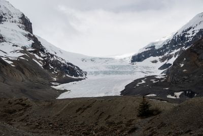 Columbia Icefield_21.jpg