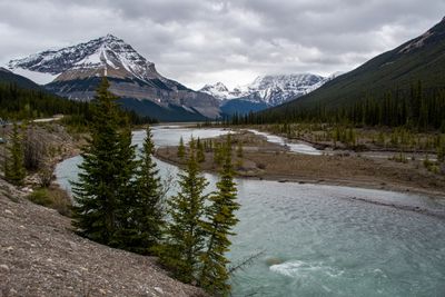 Icefield PKWY_23.jpg