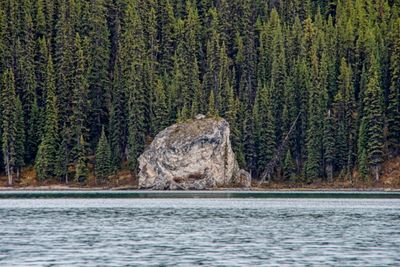 Lake Maligne_4.jpg
