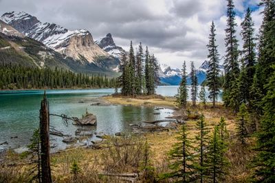 Spirit Island_08.jpg