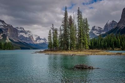 Spirit Island_14.jpg