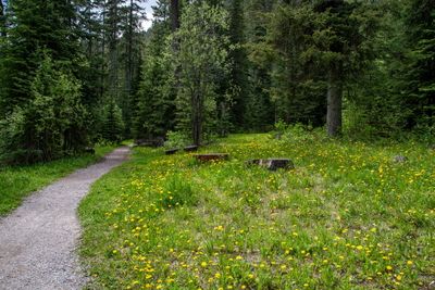 Kootenay NP_20.jpg