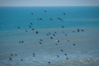 DSC_9436.jpg