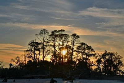 Hunting Island0000.jpg