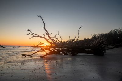 Botany Bay_152.jpg