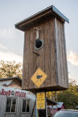 Edisto Island_055-HDR.jpg
