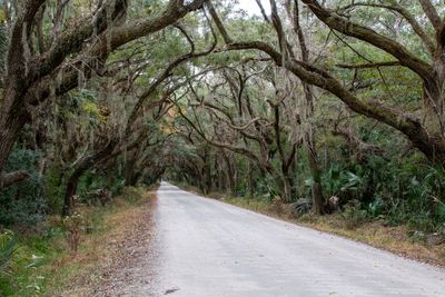 Road To Botany Bay001.jpg