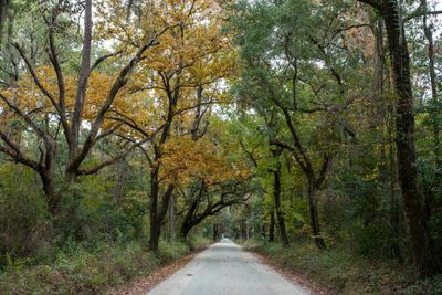 Road To Botany Bay004.jpg