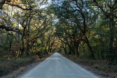 Road To Botany Bay005.jpg