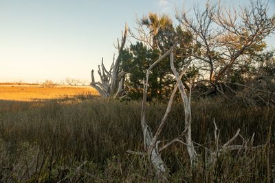 Botany Bay_030.jpg