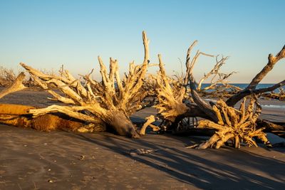 Botany Bay_035-HDR.jpg