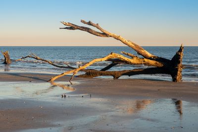 Botany Bay_041-HDR.jpg