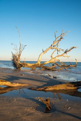 Botany Bay_050-HDR.jpg