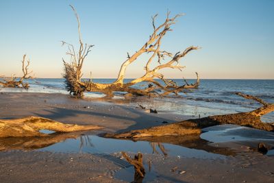 Botany Bay_059-HDR.jpg